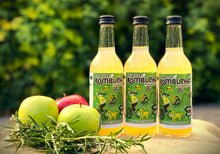 Load image into Gallery viewer, 24 Bottles Mixed Case - CHOOSE YOUR OWN FLAVOURS - SUBSCRIBE FOR AN ADDITIONAL 5% OFF!