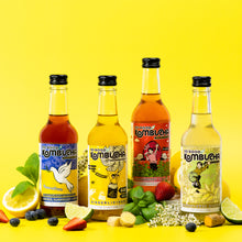 Load image into Gallery viewer, 24 Bottles Mixed Case - CHOOSE YOUR OWN FLAVOURS - SUBSCRIBE FOR AN ADDITIONAL 5% OFF!